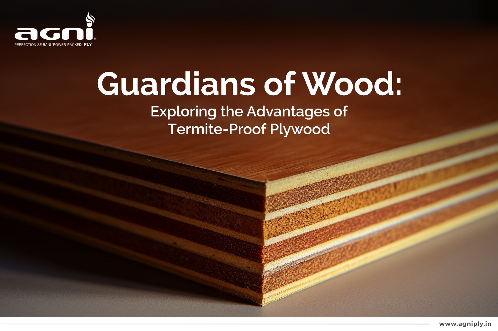 Guardians of Wood: Exploring the Advantages of Termite-Proof Plywood
