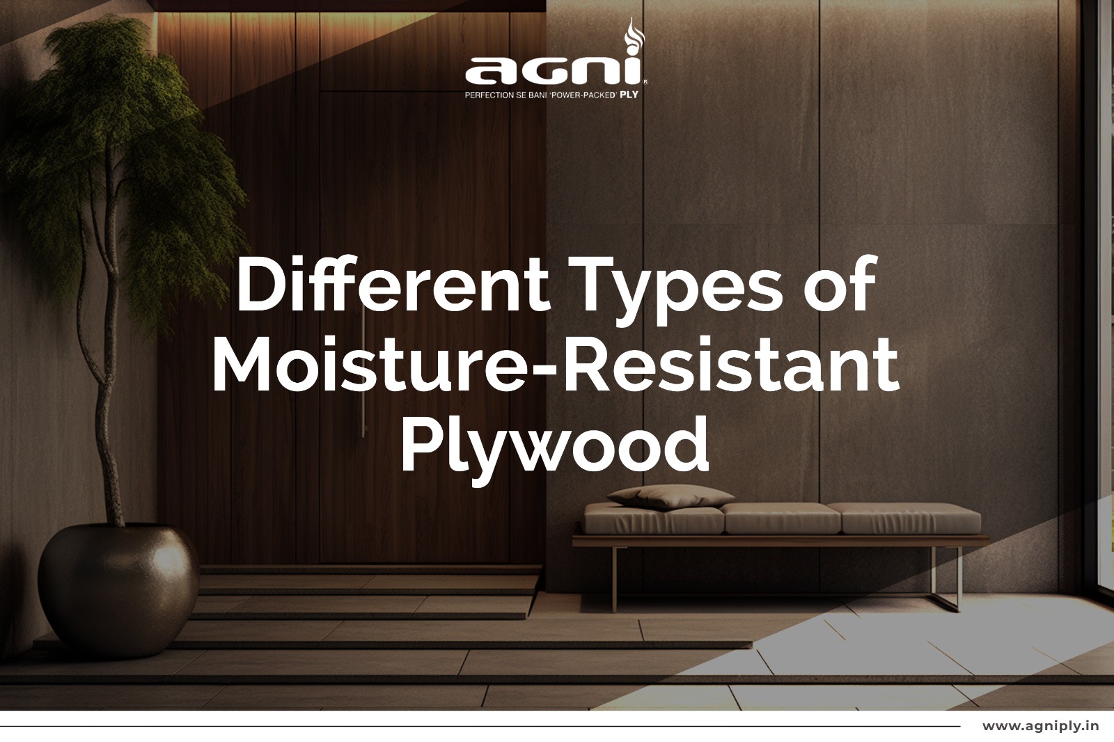 Best Plywood Manufacturers in India